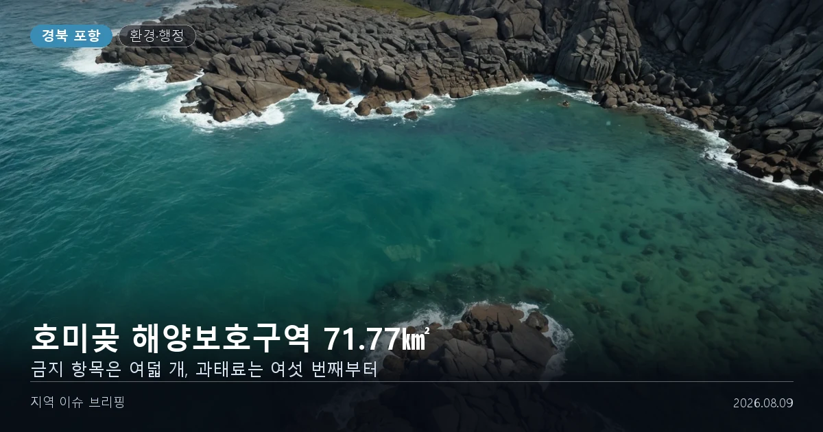 동해안 갯바위와 바닷속 해초 군락을 표현한 개념 이미지