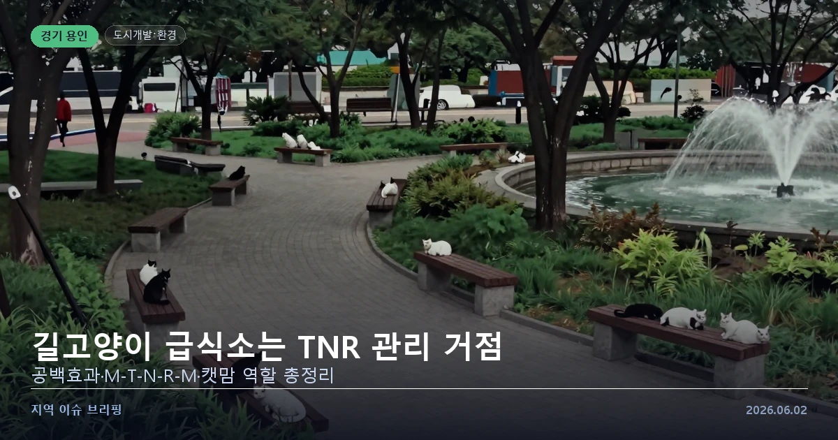 길고양이 TNR 정책 급식소